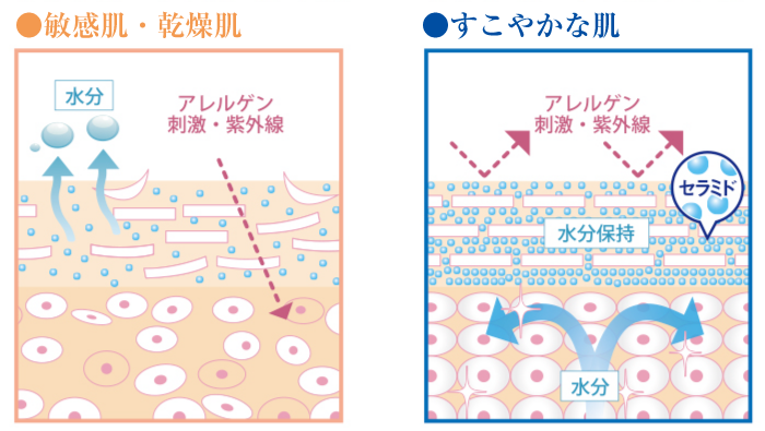 健全な皮膚バリア機能の価値 バリアケア第1話